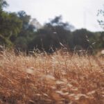 What readers should know before avoiding common mistakes